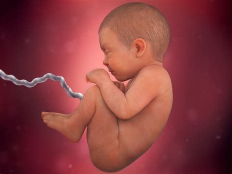 Womb To World Helping Your Newborn Adapt To Life Outside