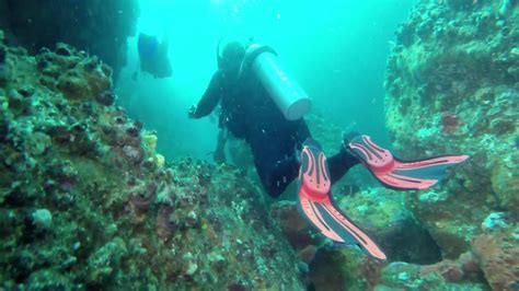 scuba diving north rock nelson bay  gopro black hero  youtube