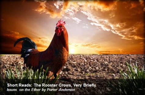 short reads the rooster crows very briefly publishing perspectives