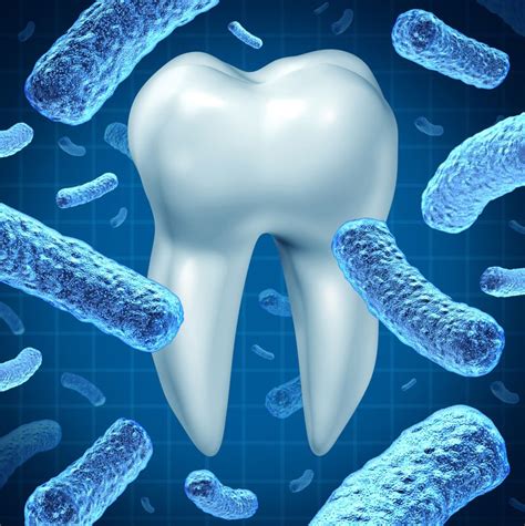 the complicated world of mouth bacteria daxon and grundset dentist