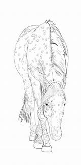 Horse Appaloosa Coloring Pages Deviantart Horses Line Palomino Animals Color Tegninger Colouring Drawings Adults Hest Malebøger Animal Kids Getdrawings Cool sketch template