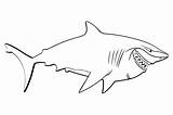 Shark Bruce Coloring Pages Nemo sketch template