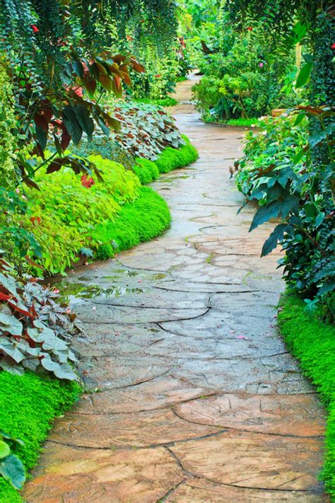 gorgeous garden pathway ideas  tiptoe  garden lovers club