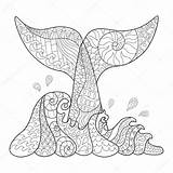 Zentangle Whale Waves Drawn Hand Stock Tail Illustration Depositphotos sketch template