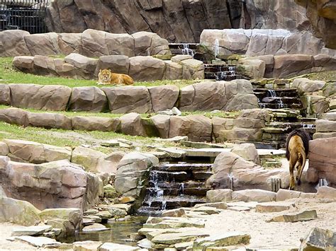 antwerp zoo  antwerp belgie belgique belgien sygic travel