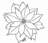 Poinsettia Clipart Clip Christmas Coloring Flower Card Book Cliparts Challenge Stickpins Theme Artwork Save Will Make Library Clipground sketch template