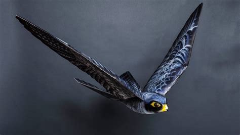 smart drone technology   protect birds  industrial hazards folio