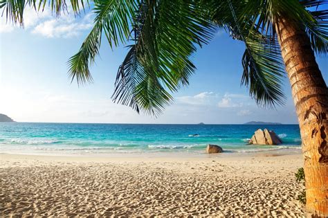 unique wallpaper  fotos de playas tropicales  agua cristalina sol palmeras  arenas