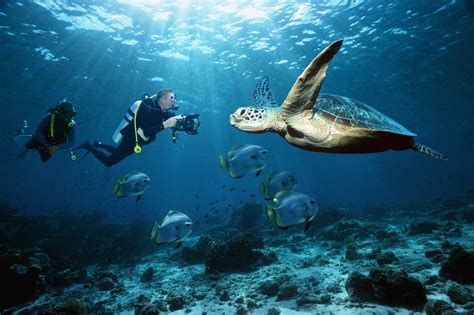 9 Best Spots For Scuba Diving In Thailand