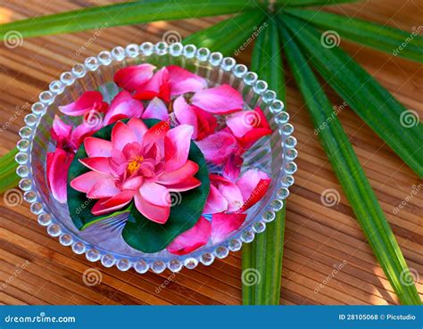 spa time stock photo image  flower colored outdoor