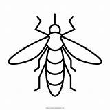 Mosquito Mosca Ultracoloringpages sketch template