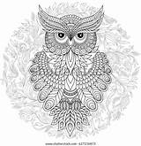 Owl Lovely Coloring Vector Exquisite sketch template