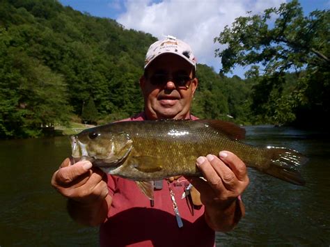 fly fishing   tennessee river hookers fly shop  guide