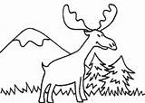 Moose Coloring Looking Food sketch template