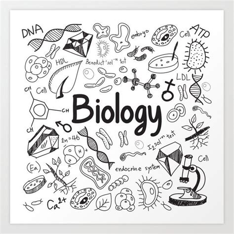 biology art print  jaliart  small biology art science doodles