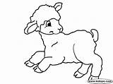 Sheep Lamb Cute Outline Drawing Coloring Line Pages Printable Getdrawings Drawings Clipartbest Jerry Cartoons Tom Clipart Animals sketch template