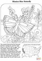 Coloring Pages Butterfly Mission Blue Printable sketch template