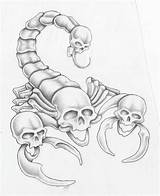 Scorpion Tattoo Skull Tattoos Drawings Deviantart Drawing Sketch Designs Stencil Skulls Sketches Outline Pencil Evil Tatoo Stencils Studio Tatuagem Dark sketch template