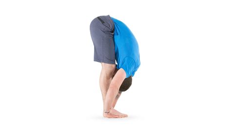 standing forward bend yoga international