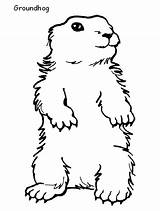 Groundhog Coloring Color Pages Printable Groundhogs Sheet Animals Print Coloriage Kids Animal Back Info Book sketch template