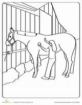 Horse Coloring Pages Horses Grooming Worksheet Groomed Saddle Care Book Color Camp Tools Western Adult Animal Girl Drawings Worksheets Letter sketch template