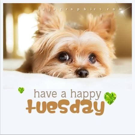 cute happy tuesday quotes  facebook hitsharenow