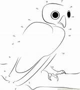 Owl Dot Coloring Pages sketch template