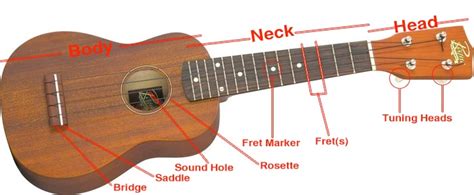 ukulele buying guide  hub
