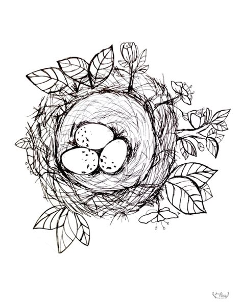 bird nest coloring page jennifer rizzo jennifer rizzo