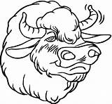 Coloring Pages Bison Buffalo Drawing Wildlife Animals Head Getdrawings sketch template