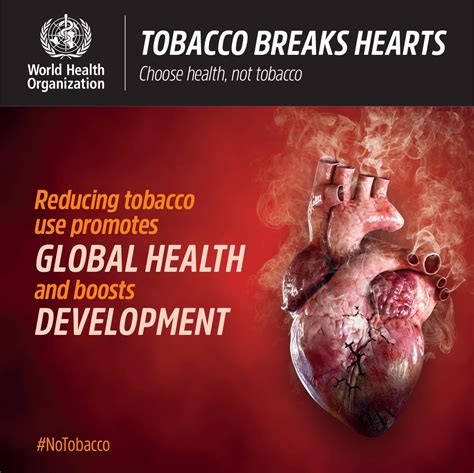 On World No Tobacco Day Calling Attention To The Dangers Of Smoking