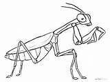 Mantis Praying Drawing Coloring Insect Line Draw Drawings Pages Insects Google Dibujo Color Sketches Getdrawings Dibujos Bug Bugs Step Wikihow sketch template