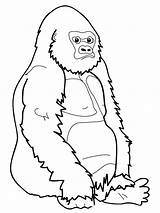 Gorilla Coloring Drawing Ape Pages Line Kids Draw Realistic Monkey Printable Cartoon Apes Paintingvalley Clipart Drawings Results Monkeys Getdrawings sketch template