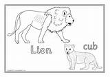 Young Animals Their Colouring Coloring Pages Sparklebox Sheets Related Items sketch template