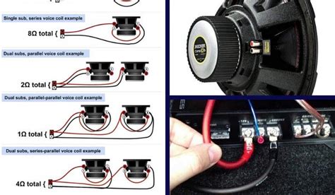 ohm dual voice coil wiring