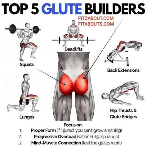 ⚡⚡⚡what are the best exercises you can do to get your glute muscles in