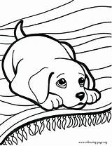 Dog Coloring Pages Wiener Weiner Getcolorings Printable Color Awesome sketch template