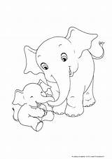 Colorare Disegni Elefanti Elefante Bambini Colora Siwagner sketch template