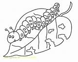 Coloring Caterpillar Pages Getcolorings sketch template