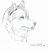 Husky Coloring Pages Printable Puppies Siberian Dog Huskies Getdrawings Color Getcolorings Popular sketch template
