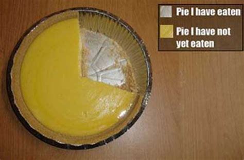 20 Invaluable Pie Charts The Poke