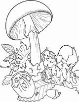 Coloring Mushrooms Pages Kids Color Mushroom Print Colouring Drawing Printable Adult Sheets Choose Board Justcolor sketch template
