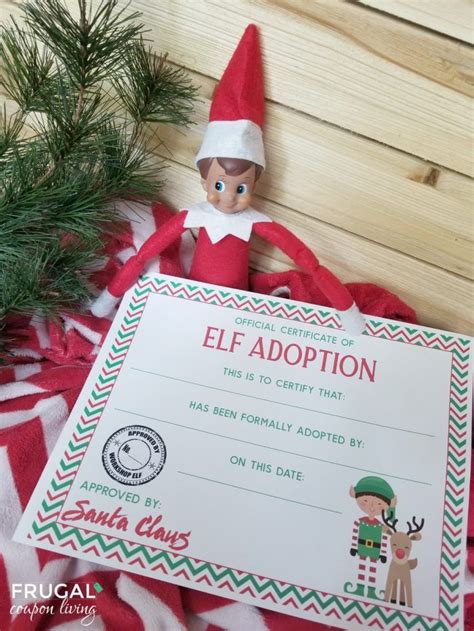 elf   shelf adoption certificate printable    register
