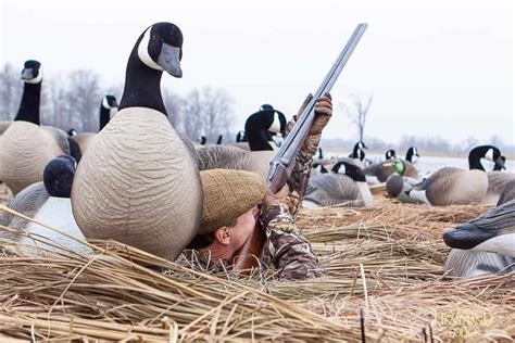 canada goose hunting outfitters heartland lodge