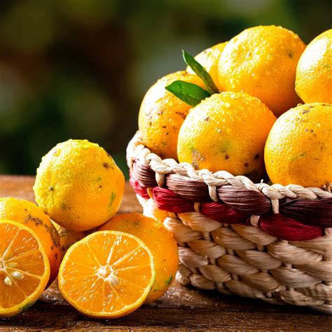 Lime Citrus Limonia Rangpur 5 Litre Pot X 1 Suttons
