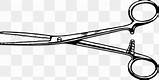 Forceps Obstetrical sketch template