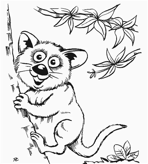wild animal coloring pages  kids updated