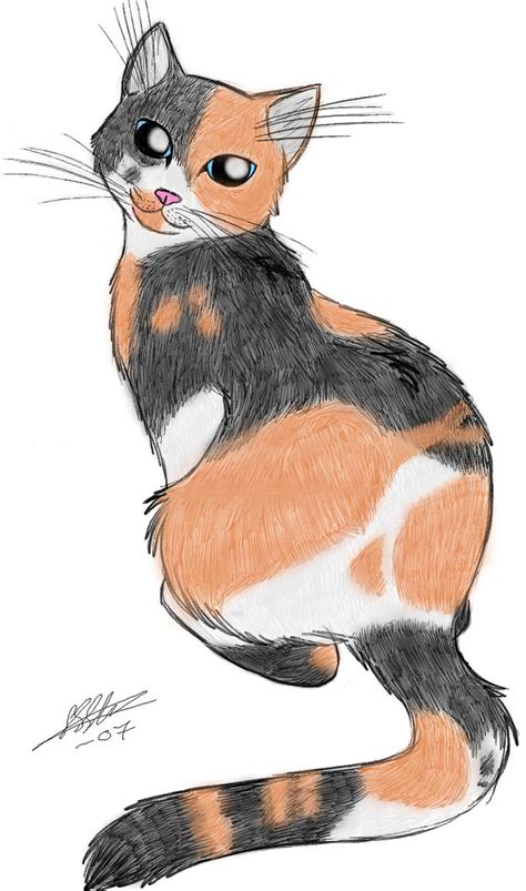 calico cat drawing  paintingvalleycom explore collection  calico