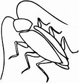 Cockroach Cockroaches sketch template