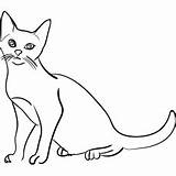 Cat Coloring Pages Printable Cats Kids Peek Boo sketch template